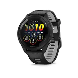 Garmin 265